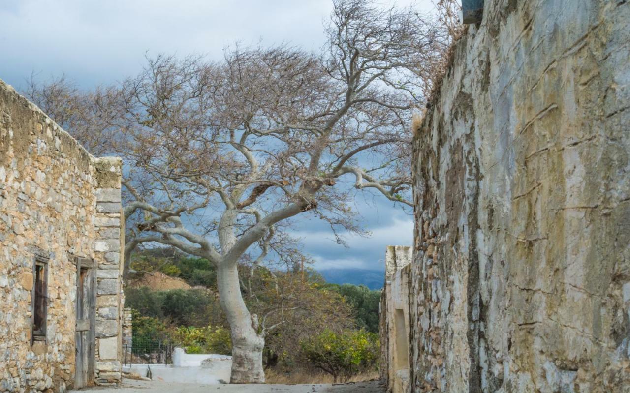 Limeri Traditional Guest House Monolithos  Екстериор снимка